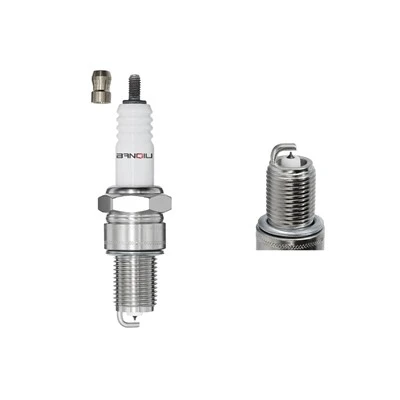 Iridium Buji BPR6EIX-LPG 2347