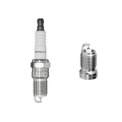 Platinum Buji PTR5D -10 3784
